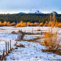 Landscapes