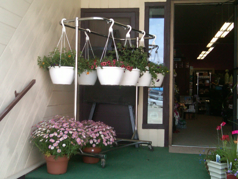 Hanging Baskets and Patio Pots