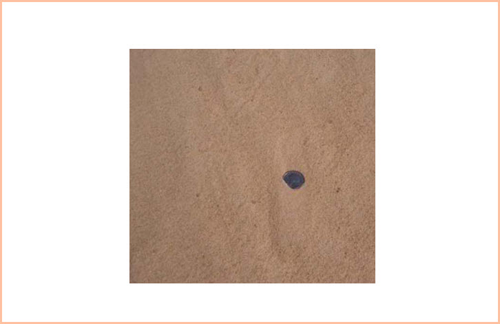 Foundry Sand or Blond Sand