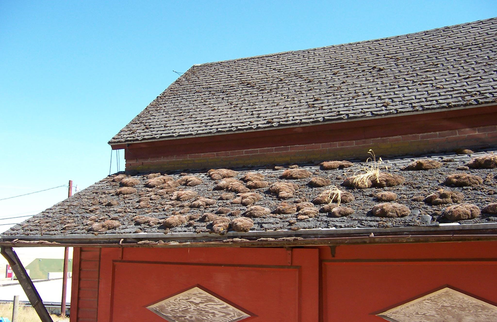 Regular Roof Maintenance