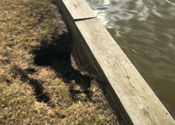 Seawall Repair