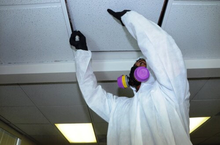Asbestos Testing