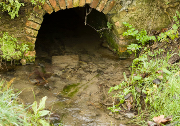 Sewage Testing