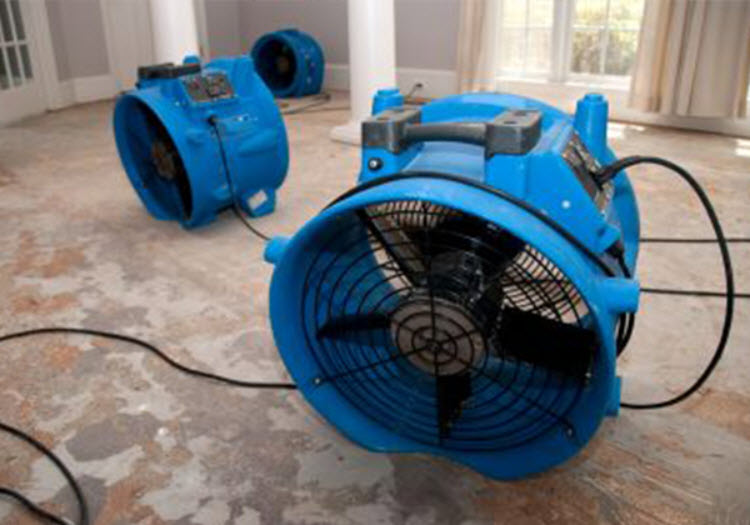 Water Damage Consulting