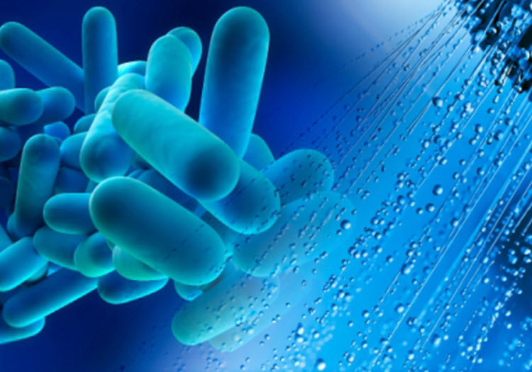 Legionella Testing
