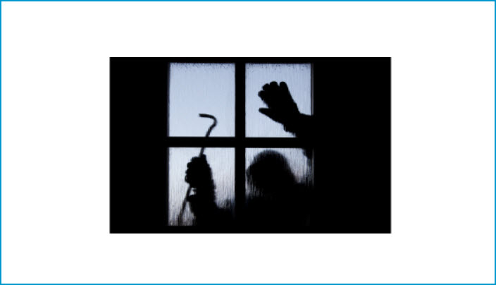 Security Systems Basics Video
