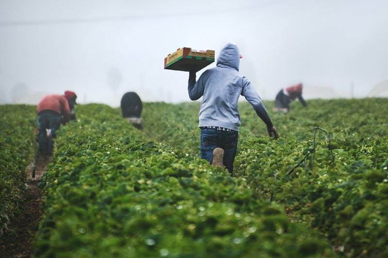 Food And Natural Resources