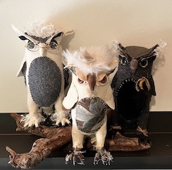 Black Mountain Owls