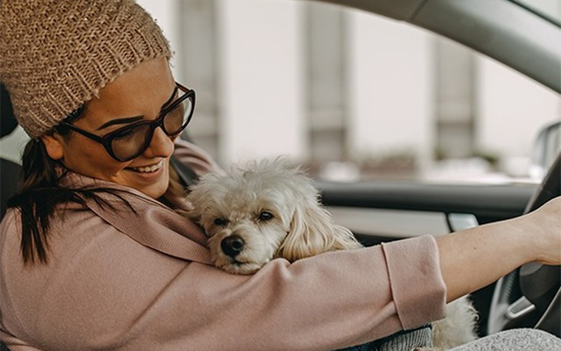 Renters Insurance