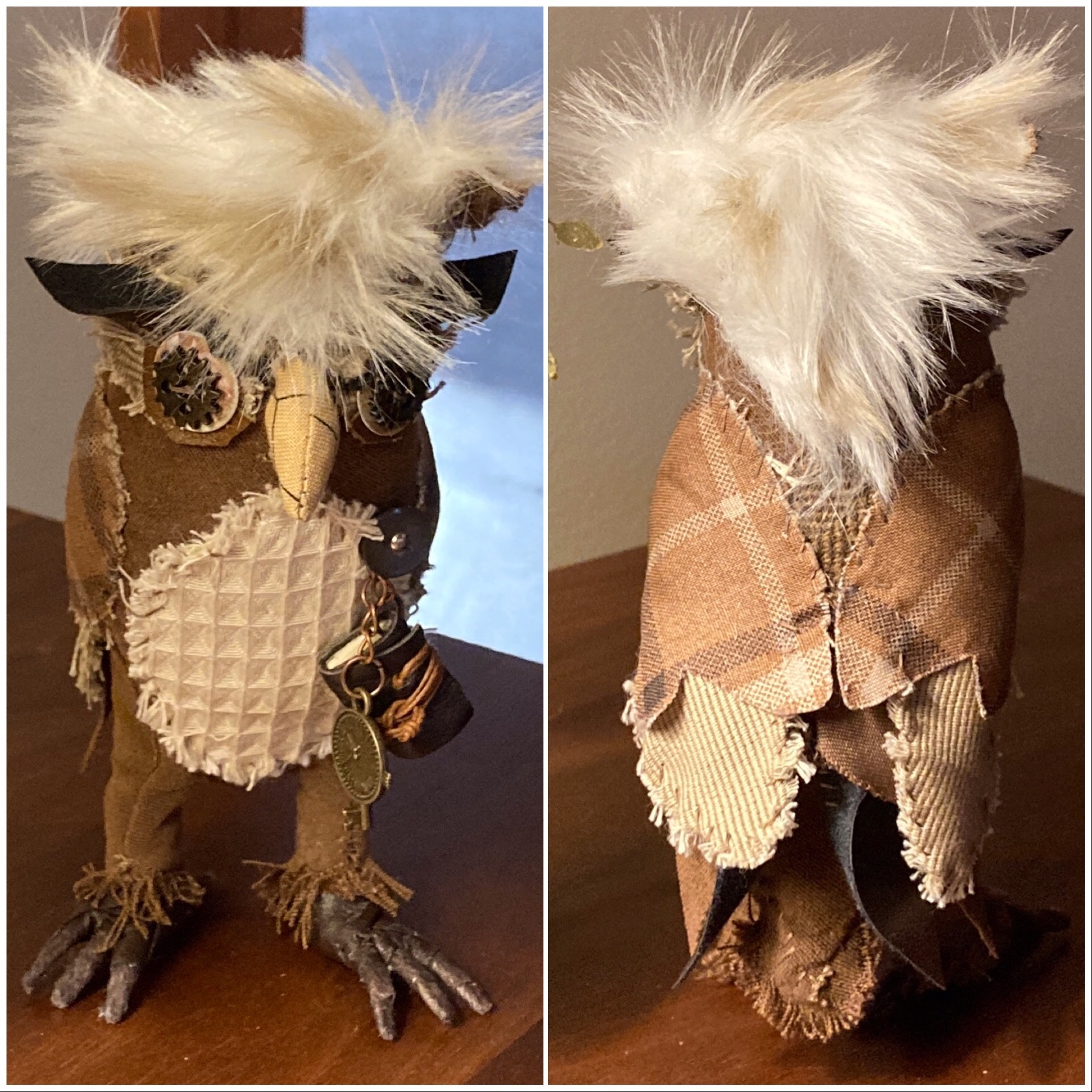 Black Mountain Owls