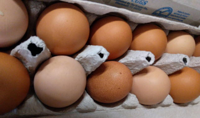 Eggs
