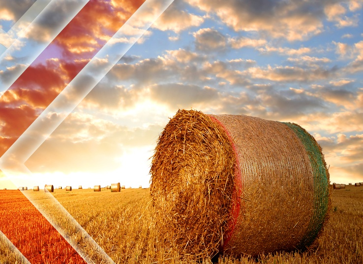 Farm Insurance