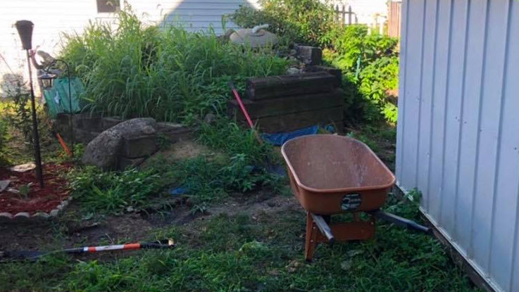 Full Service Lawn Care