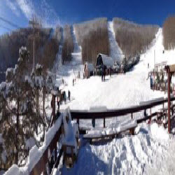 WINTER EVENTS