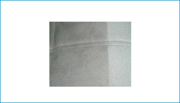 Upholstery Cleaning