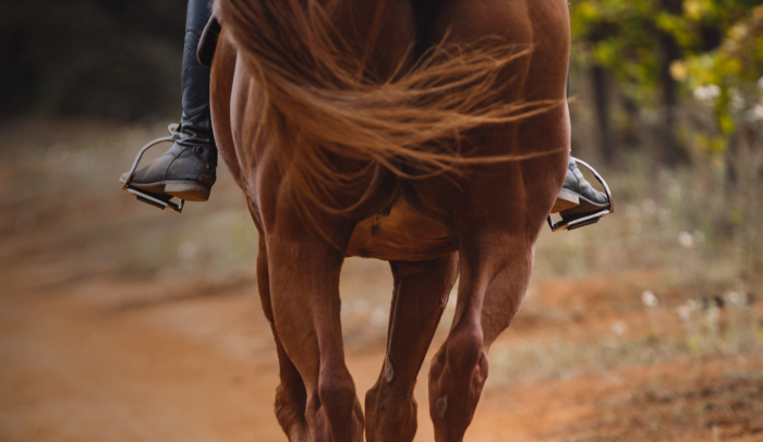 Equestrian Living