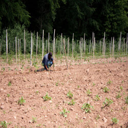 Farm Properties