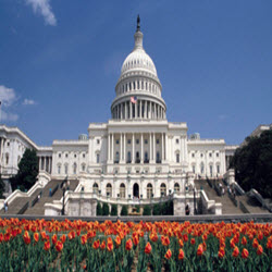 Legislation
