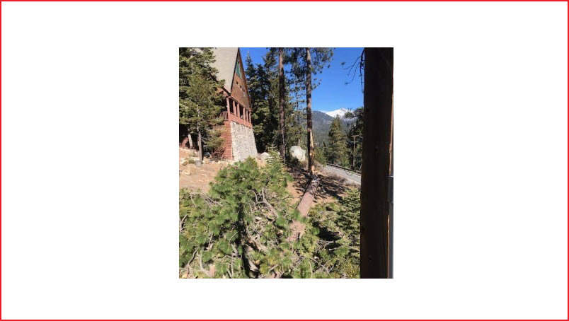 Request for Tree Trimming