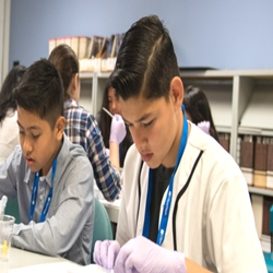 Workforce Development