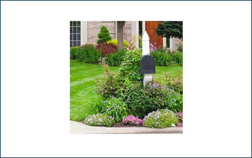 Lawn & Garden