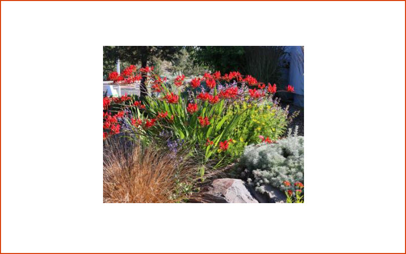 Home Garden and Landscape