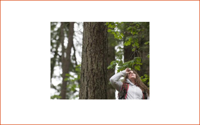 Forestry and Natural Resources
