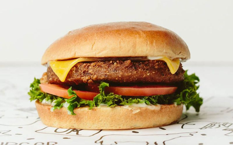Vegi-Bean Burger