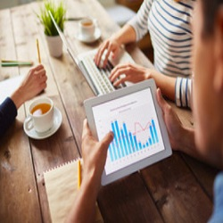 Business Entity Selection