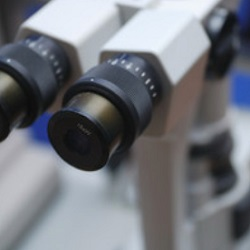 Examinations for eye diseases 
