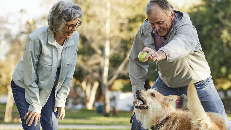 Humana Medicare Plans