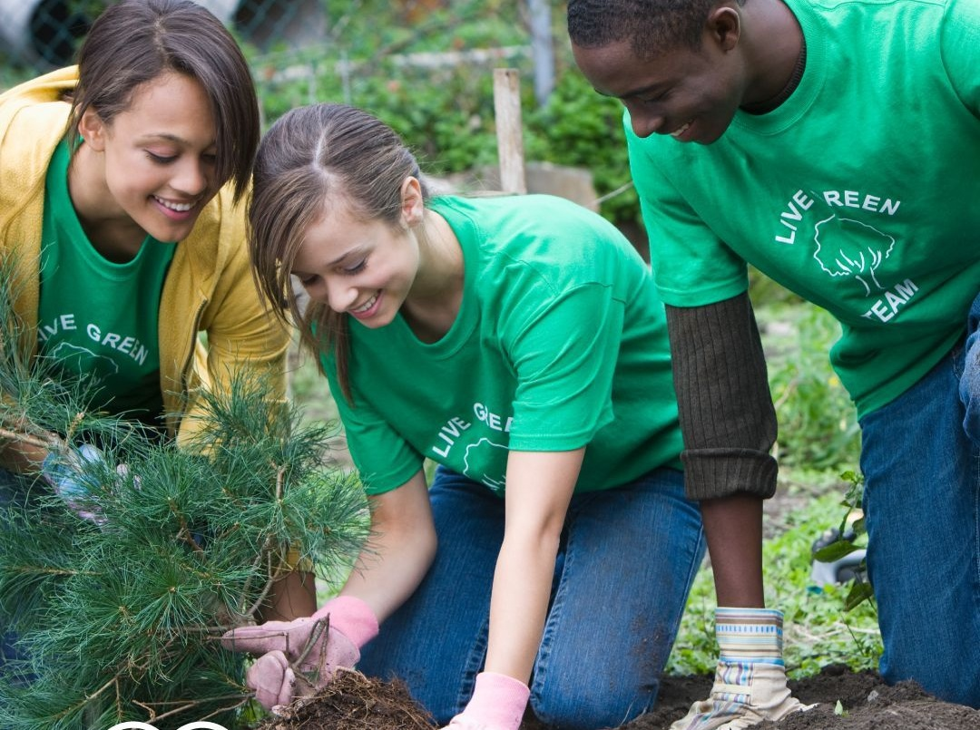 OCCU Foundation