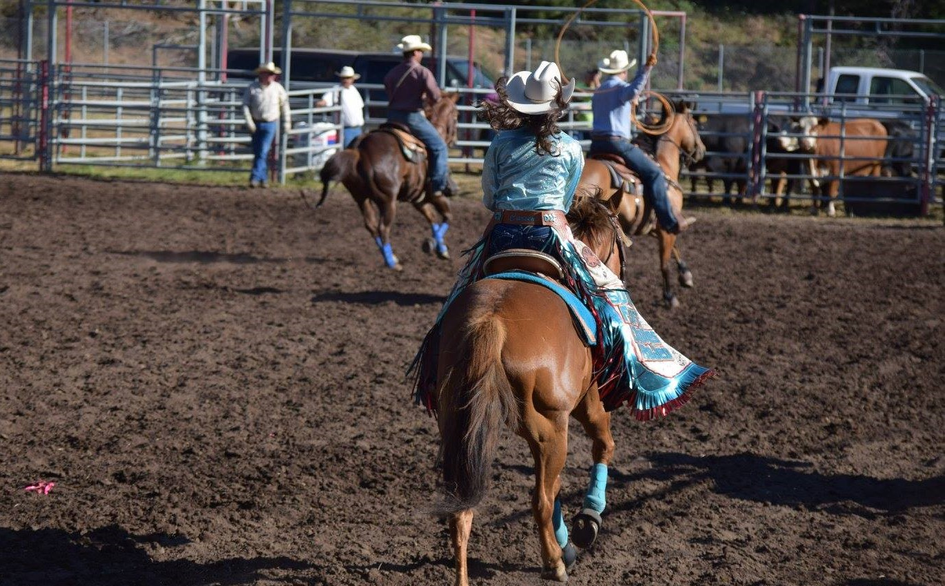 Rodeo
