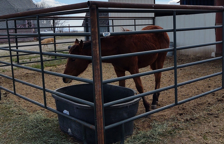 Horse Shelters