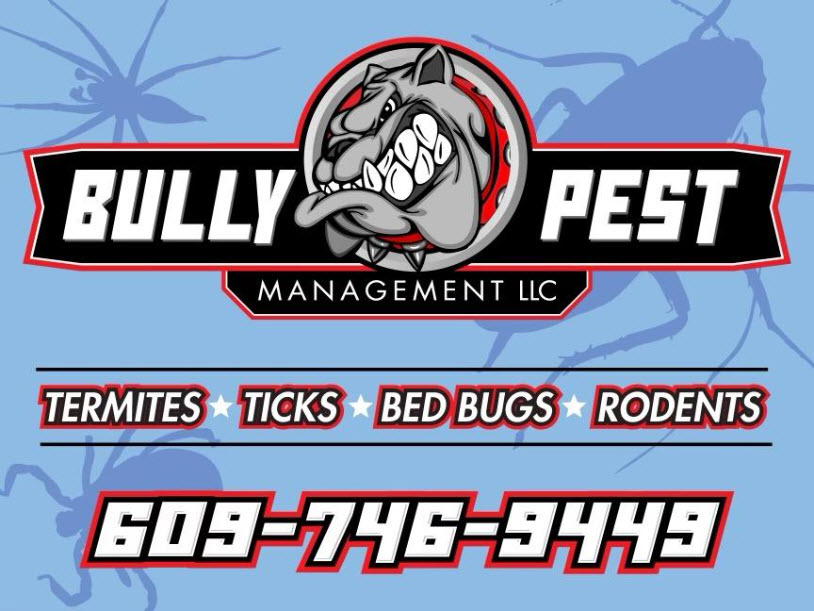 Bully Pest Management (Adv)