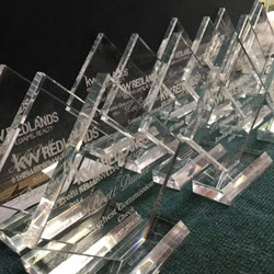 Glass Trophies