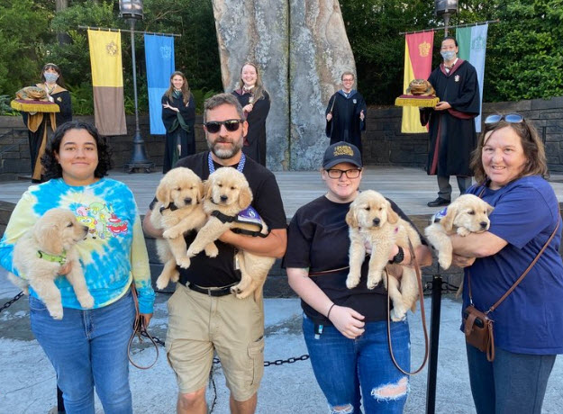 Volunteer Application