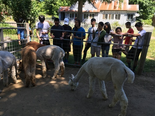 Farm Tours