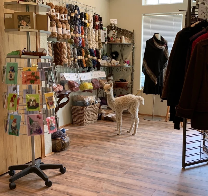 Boutique