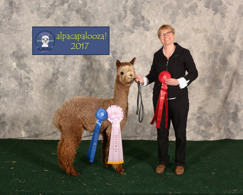  Alpaca Farm Events