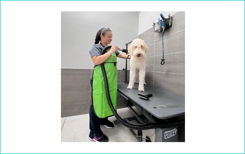 Full Service Grooming