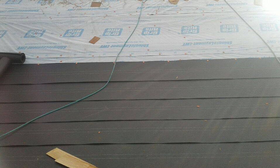 Shingle Roof