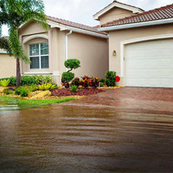 Home Insurance