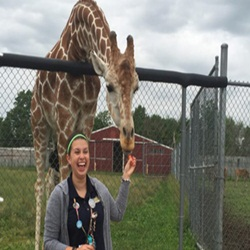 Giraffe Adventure 