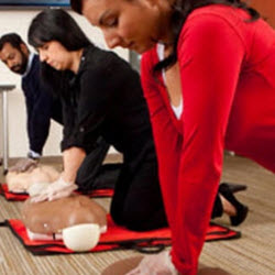 Training & Certification