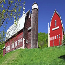 Farm & Ranch Supplies