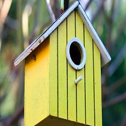 Wild Bird Supplies