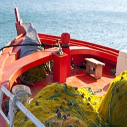 Headboats