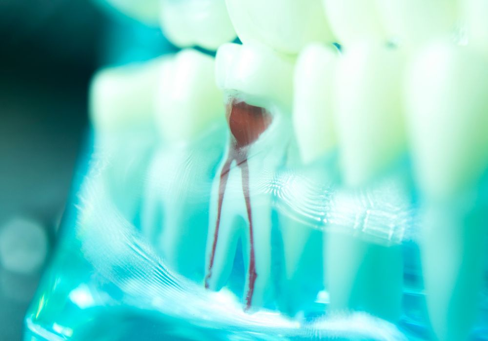 Periodontics