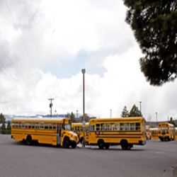 AFTER-SCHOOL PROGRAM